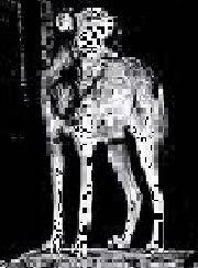 Herici : B.M.M. Live